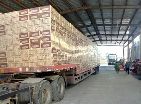 &#38647;&#31454;&#25216;&#40;&#20013;&#22269;&#41;&#23448;&#26041;&#32593;&#31449;&#45;&#30331;&#24405;&#20837;&#21475;